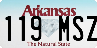 AR license plate 119MSZ