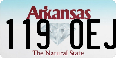 AR license plate 119OEJ