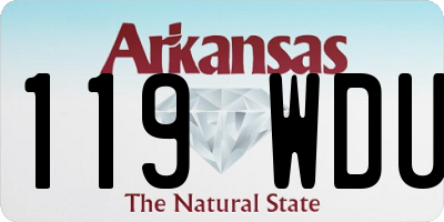 AR license plate 119WDU