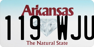 AR license plate 119WJU