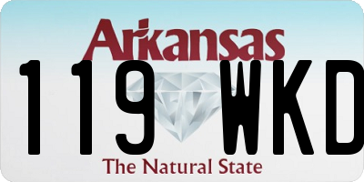AR license plate 119WKD