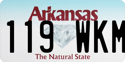AR license plate 119WKM