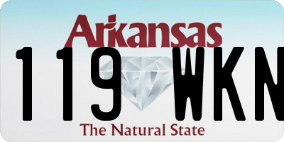 AR license plate 119WKN