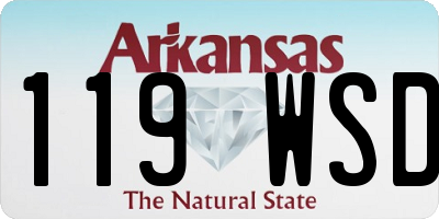 AR license plate 119WSD