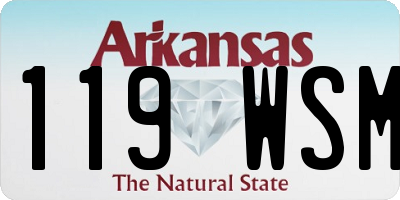 AR license plate 119WSM