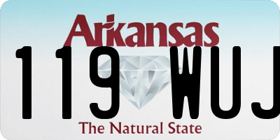 AR license plate 119WUJ