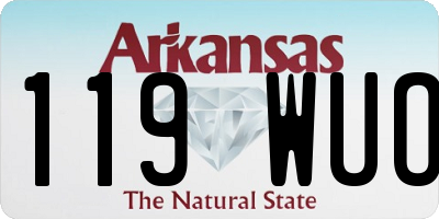 AR license plate 119WUO