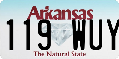 AR license plate 119WUY