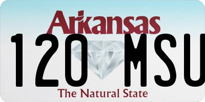 AR license plate 120MSU