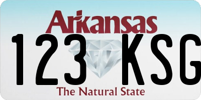 AR license plate 123KSG