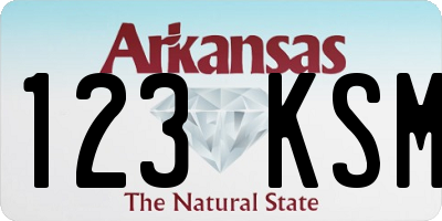 AR license plate 123KSM