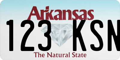 AR license plate 123KSN