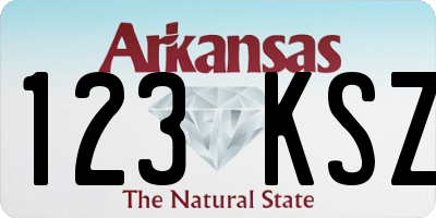 AR license plate 123KSZ