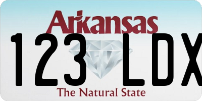 AR license plate 123LDX
