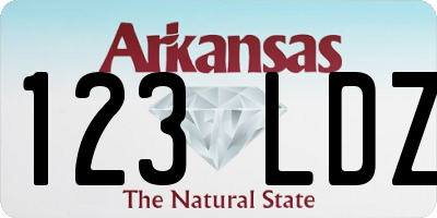 AR license plate 123LDZ