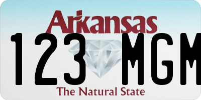 AR license plate 123MGM