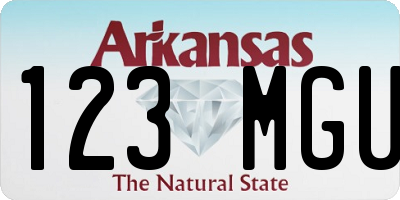 AR license plate 123MGU