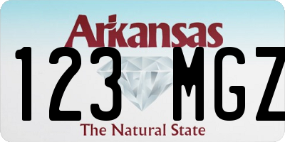 AR license plate 123MGZ