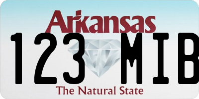 AR license plate 123MIB