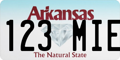 AR license plate 123MIE