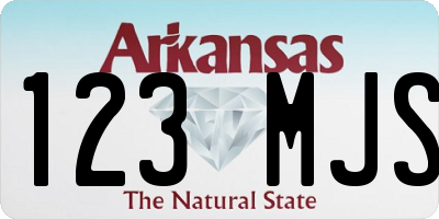AR license plate 123MJS