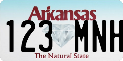 AR license plate 123MNH