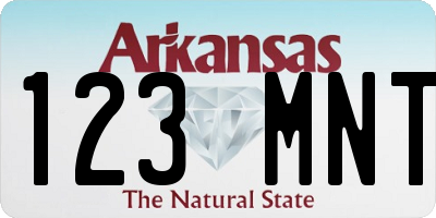 AR license plate 123MNT