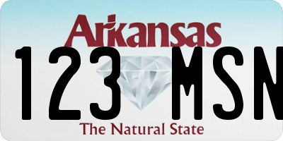 AR license plate 123MSN