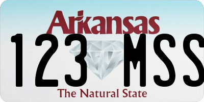 AR license plate 123MSS