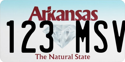 AR license plate 123MSV