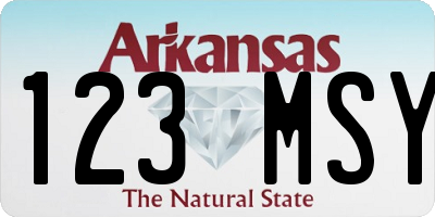 AR license plate 123MSY