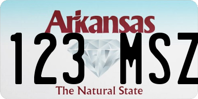 AR license plate 123MSZ