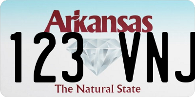 AR license plate 123VNJ