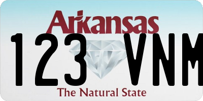 AR license plate 123VNM
