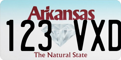 AR license plate 123VXD