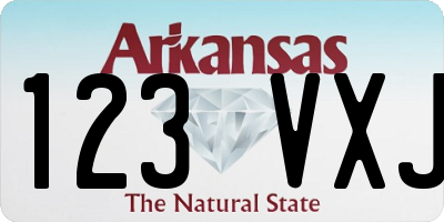 AR license plate 123VXJ