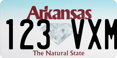 AR license plate 123VXM