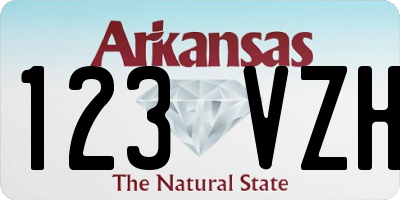 AR license plate 123VZH