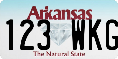 AR license plate 123WKG