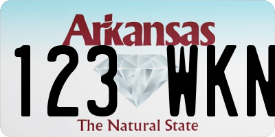 AR license plate 123WKN