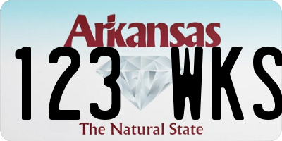 AR license plate 123WKS