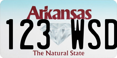 AR license plate 123WSD