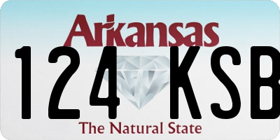 AR license plate 124KSB