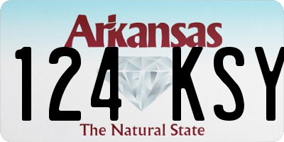 AR license plate 124KSY