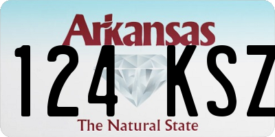 AR license plate 124KSZ