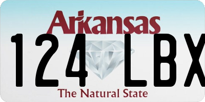 AR license plate 124LBX