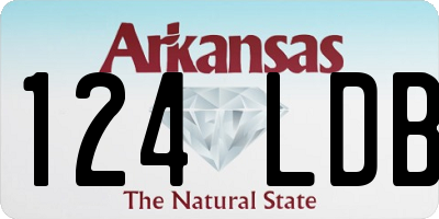 AR license plate 124LDB