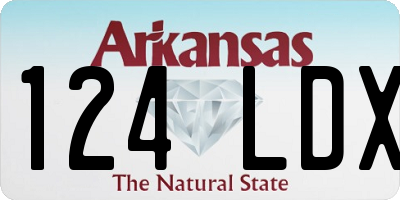 AR license plate 124LDX