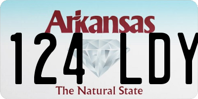 AR license plate 124LDY