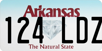 AR license plate 124LDZ